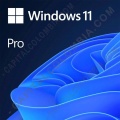 Microsoft Windows 11 Professional x64 Español DSP OEM (Sólo para Equipos Nuevos) - FQC-10553