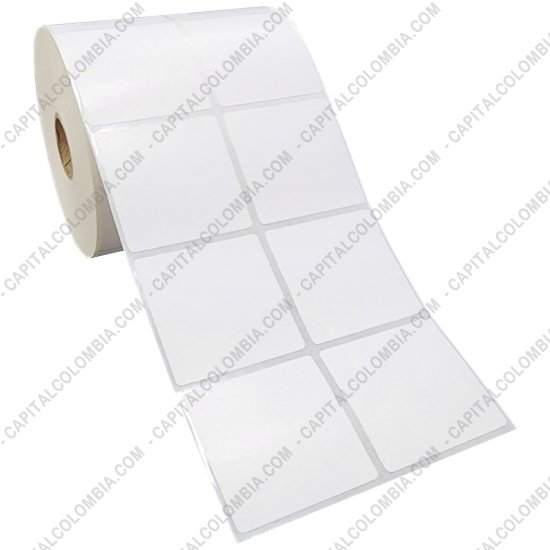 Rollos de etiquetas adhesivas y Nylon Textil, Marca: CapitalColombia - Rollo de etiquetas en papel bond de 2.500 rótulos a dos columna de 4.8cms x 4.8cms (48x48mm)