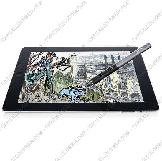 Tablas Digitalizadoras Wacom, Huion, Xp-Pen y otras, Marca: Wacom - Lápiz Intuos Creative Stylus 2 para IPAD3 (o superior) sensible a la presión color negro con gris (Ref CS600PK)