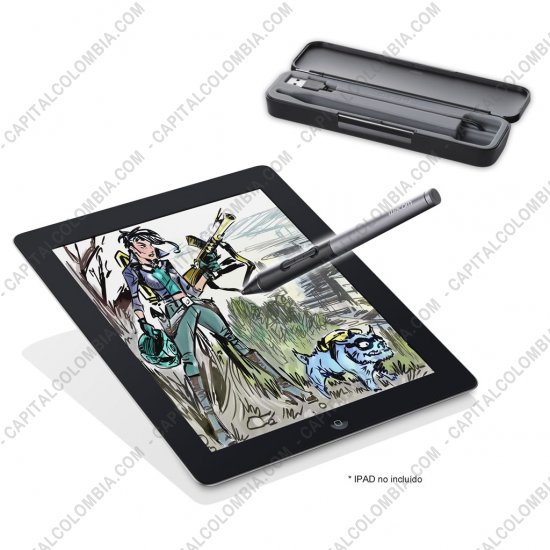 Tablas Digitalizadoras Wacom, Huion, Xp-Pen y otras, Marca: Wacom - Lápiz Intuos Creative Stylus 2 para IPAD3 (o superior) sensible a la presión color negro con gris (Ref CS600PK)